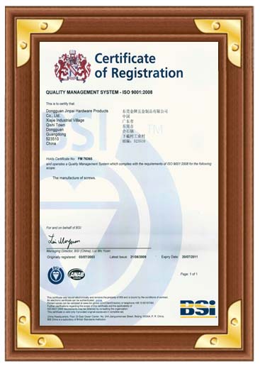 BSI ISO9001:2008